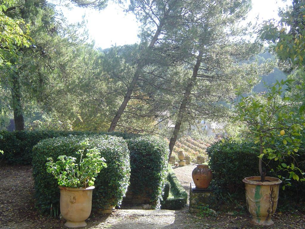 Chateau D'Agel Chambres D'Hotes Esterno foto