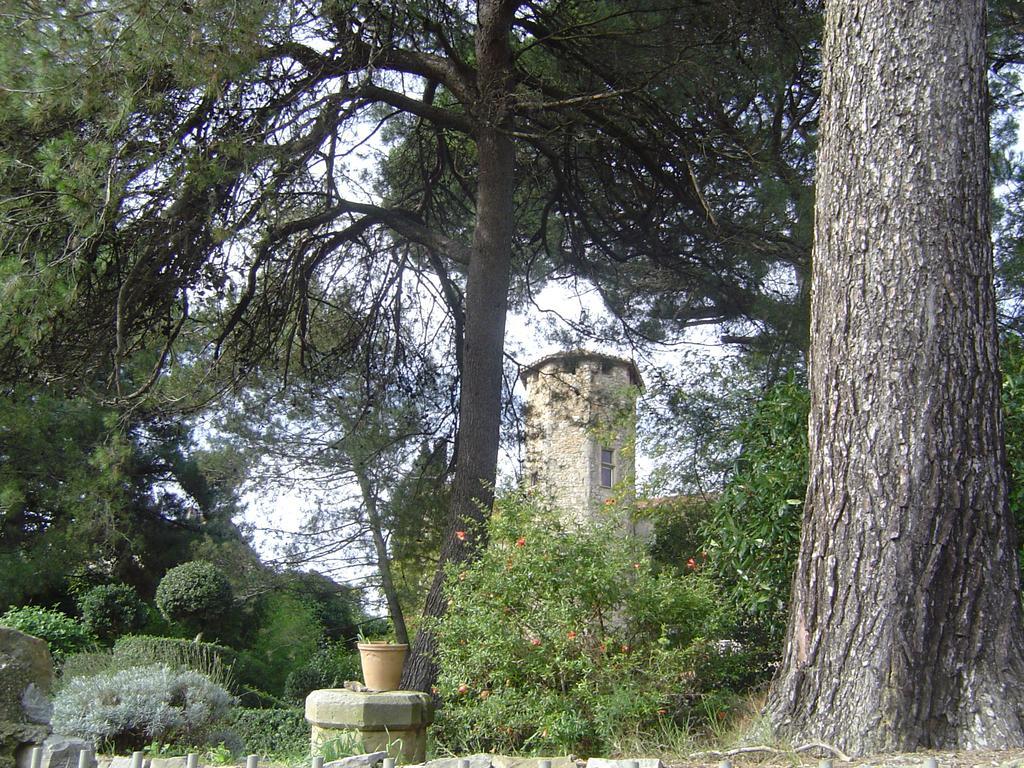 Chateau D'Agel Chambres D'Hotes Esterno foto